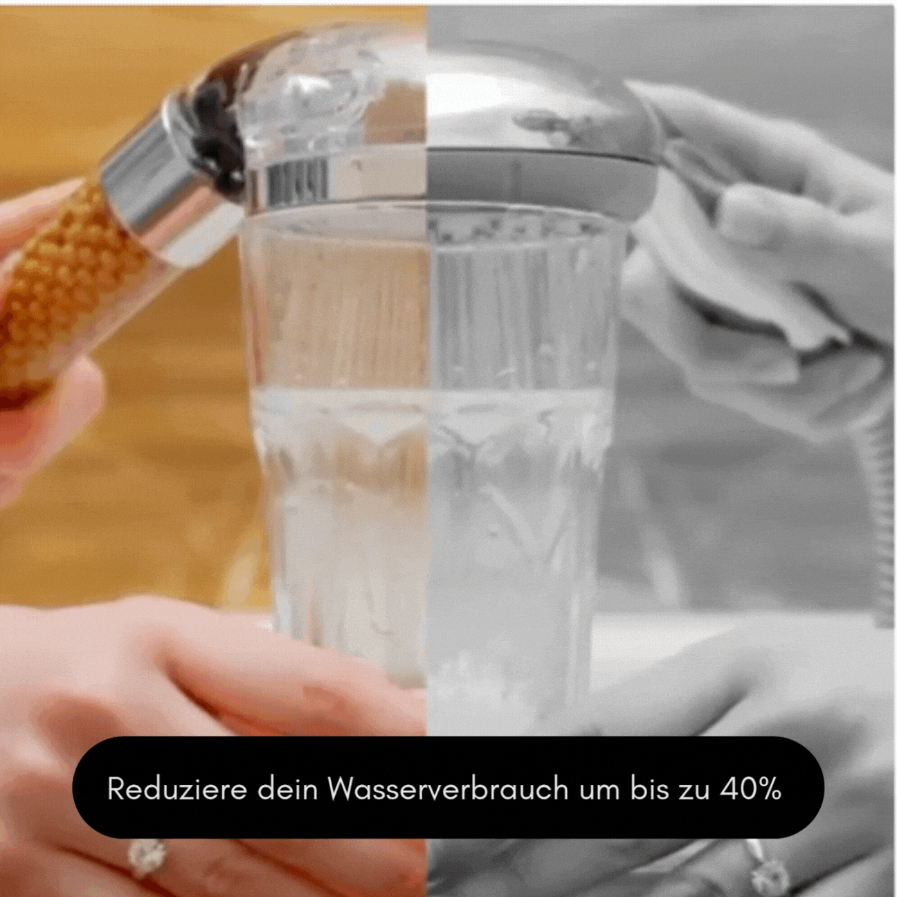 ZugSpitze Duschkopf Filter Brause - Starter-Set