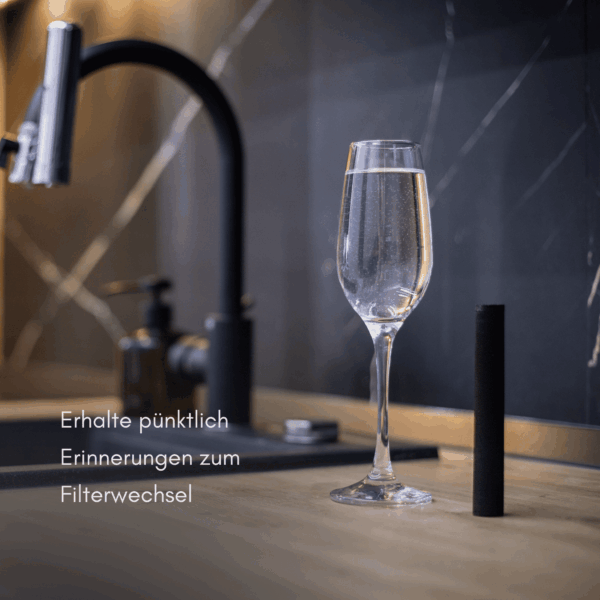 Hydrolife Filterkartusche Ersatz für Cascade – 3 Monate gefiltertes Trinkwasser